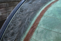 20200315-Fern Frost